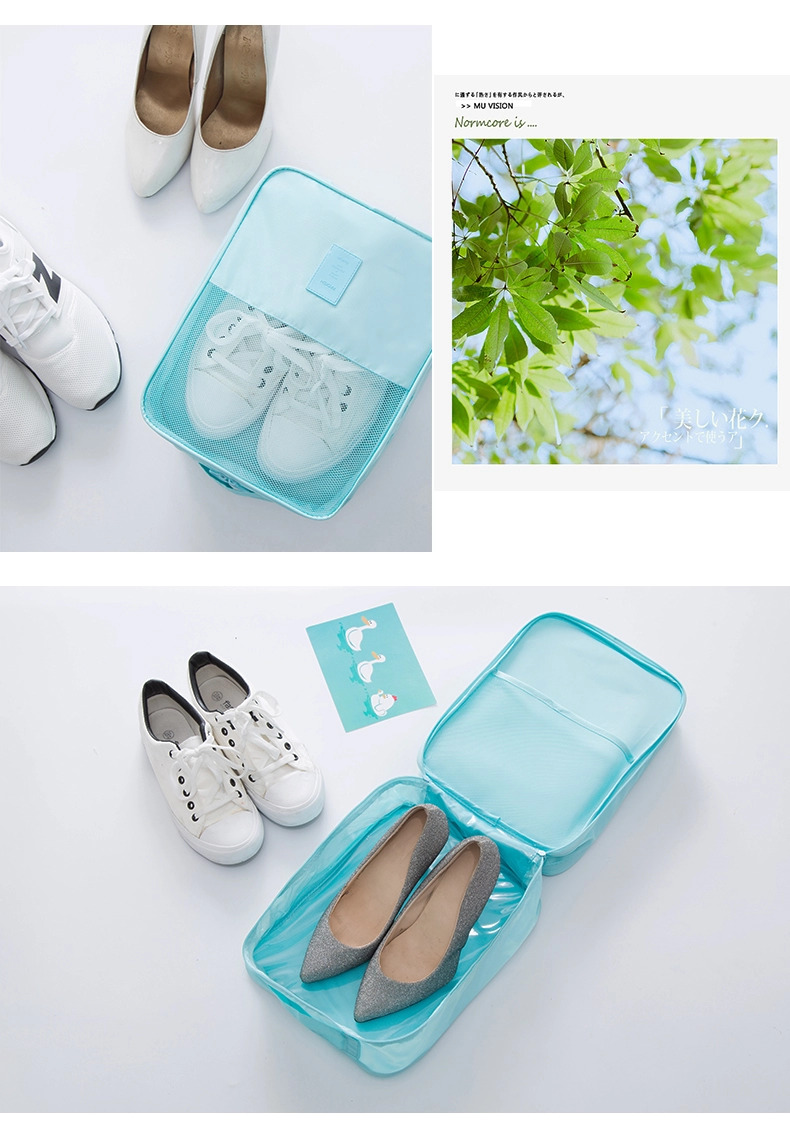Shoe Carrying Case With High Heels